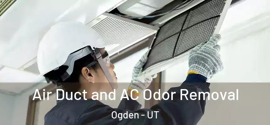 Air Duct and AC Odor Removal Ogden - UT