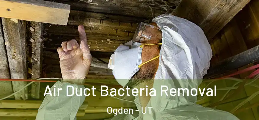 Air Duct Bacteria Removal Ogden - UT