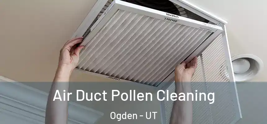  Air Duct Pollen Cleaning Ogden - UT