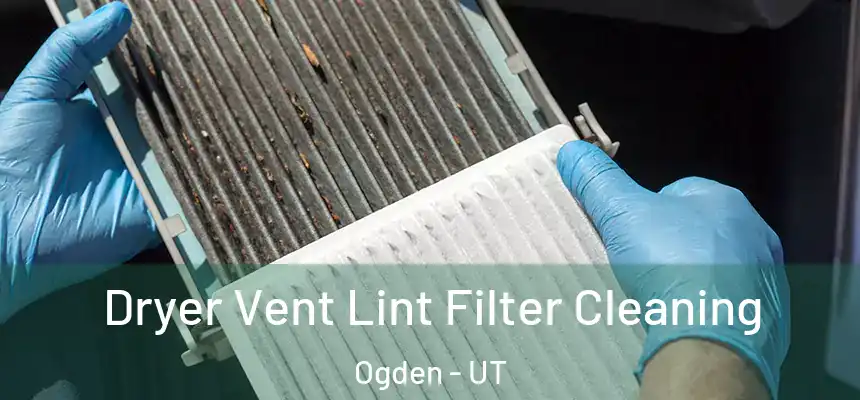  Dryer Vent Lint Filter Cleaning Ogden - UT