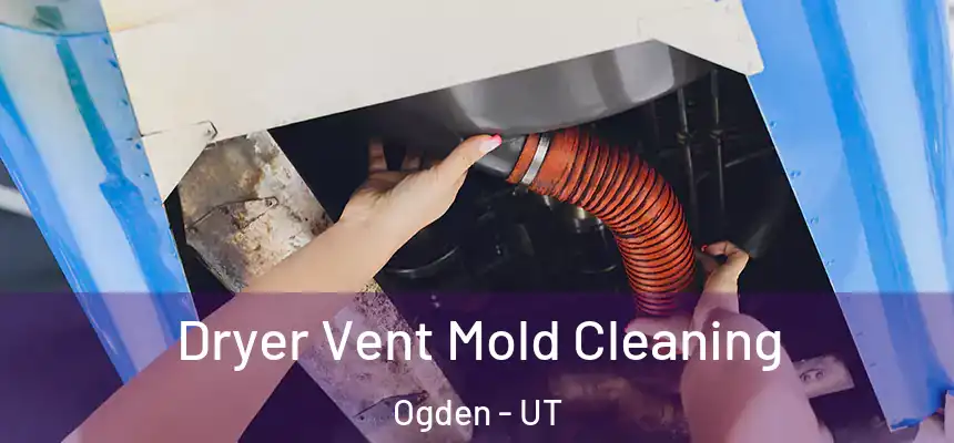 Dryer Vent Mold Cleaning Ogden - UT