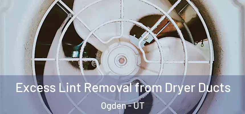 Excess Lint Removal from Dryer Ducts Ogden - UT