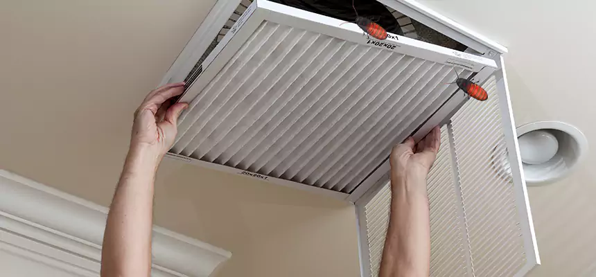 Preventive Cockroach-Proofing for Ducts in Ogden