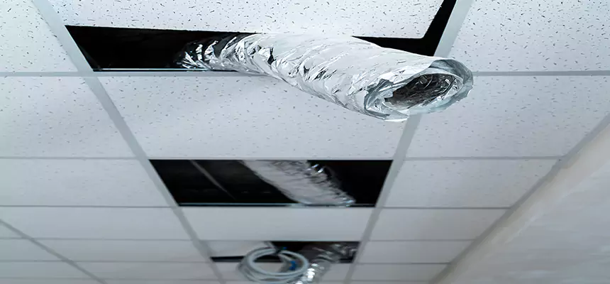 Affordable HVAC Sanitizing After Pest Removal in Ogden