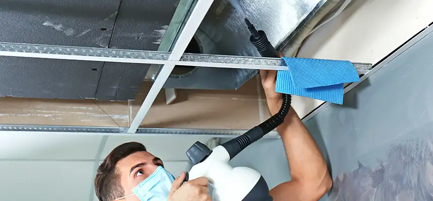 Our Air Duct Rodent Removal Services in Ogden, UT
