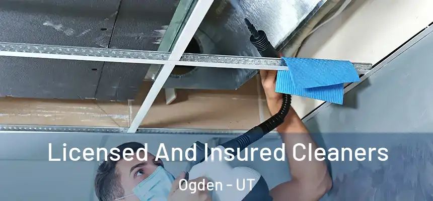 Licensed And Insured Cleaners Ogden - UT