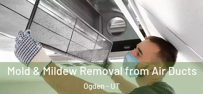 Mold & Mildew Removal from Air Ducts Ogden - UT