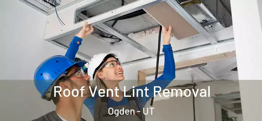 Roof Vent Lint Removal Ogden - UT