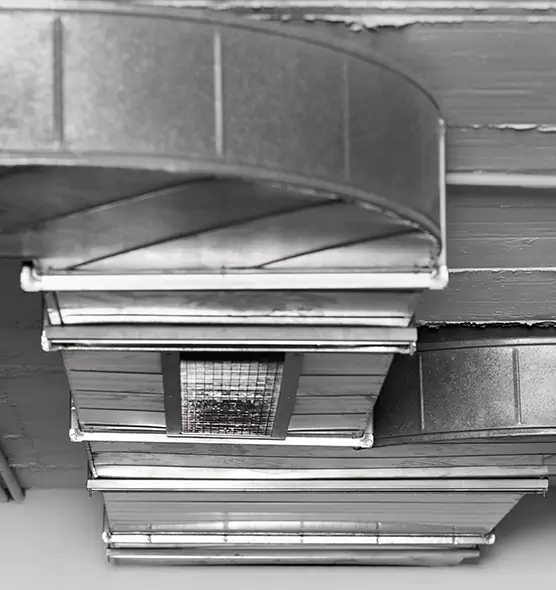 Professional Air Duct Pet Hair Removal in Ogden, UT