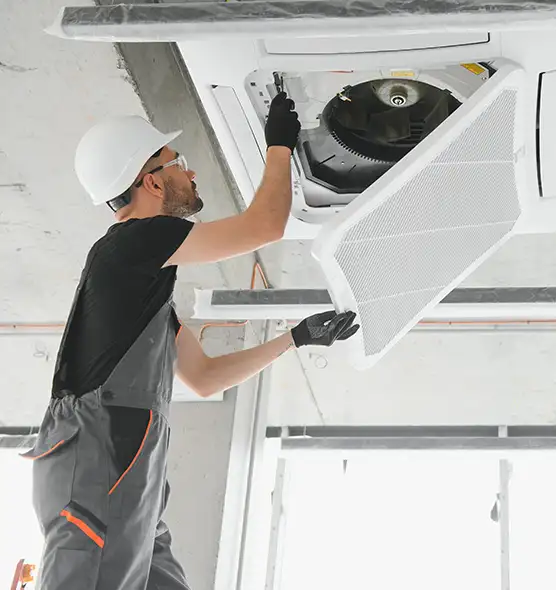 About Air Duct Rodent Removal in Ogden, UT