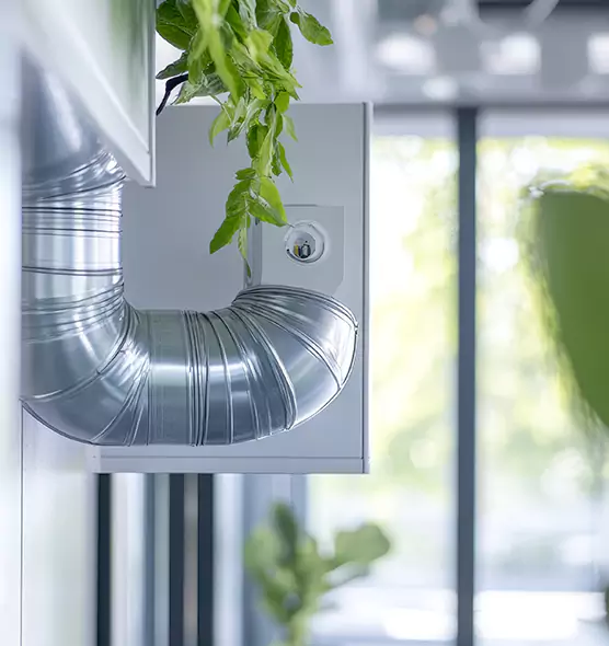 Professional Eco-Safe Dryer Vent Cleaning in Ogden, UT